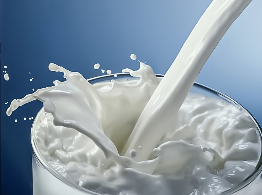 MILK POWDER Benefits Image